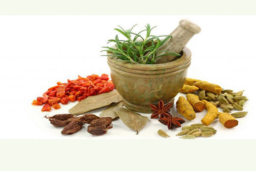 سیستم ایمنی‌تان را با مصرف این غذاها تقویت کنید
