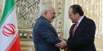 وزیر خارجه اتریش با ظریف دیدار کرد/عکس