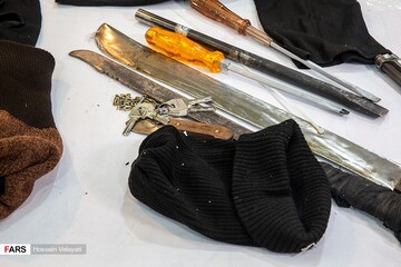 دستگیری سارقان خانه های شمال تهران