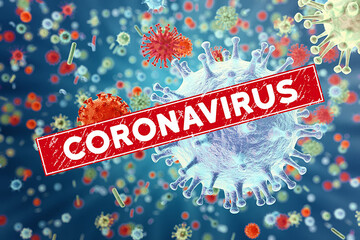 Coronavirus death toll mounts to 19 in Iran