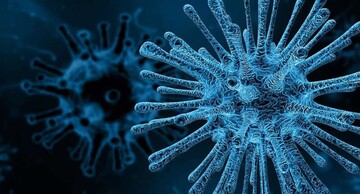 ساخت موادی از سوی محققان که جلوی تکثیر ویروس کرونا را می‌گیرد