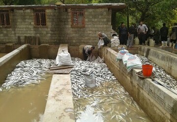  ۲۵۰۰ مسکن روستایی در نهاوند از سیلاب های اخیر آسیب دیدند