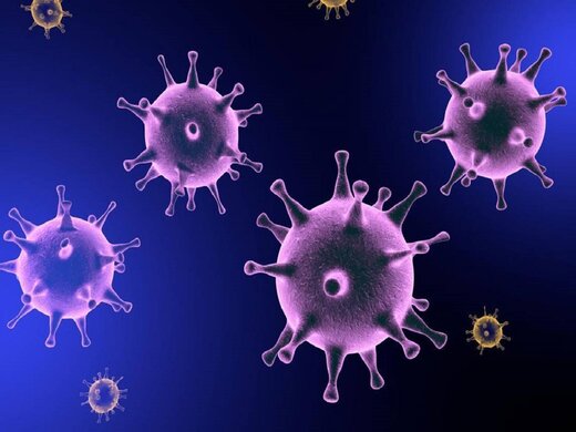 ۷ احتمال درباره کروناویروس.پیشگیری/درمان