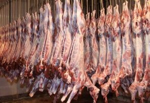 قیمت گوشت گوسفندی در البرز به ۱۴۰ هزار تومان رسید