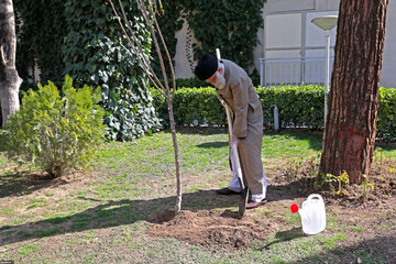 Leader plants two saplings on National Arbor Day