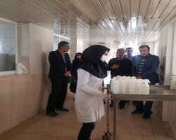 فعالیت جهادی ۱۴ واحد صنعتی چهارمحال و بختیاری برای مقابله با کرونا