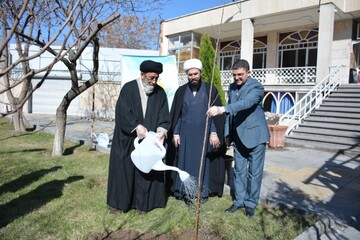 درختکاری از کارهای ارزشمند برای حفظ محیط زیست است