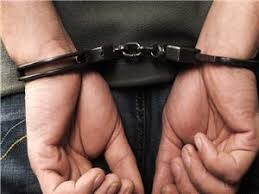 دستگیری دو نفر متخلف حمل چوب جنگلی در منطقه حفاظت شده هلن
