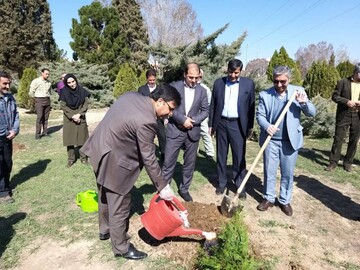 آغاز توزیع ۵۰۰ هزار اصله نهال در استان/کاشت نمادین درخت در استانداری سمنان