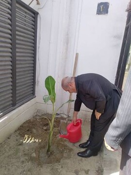 کاشت ۱۰ هزار اصله درخت در نیمه دوم سال جاری