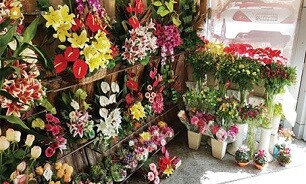 کاهش ۵۰ درصدی قیمت گل/ خرید گل ۷۰ درصد افت کرد