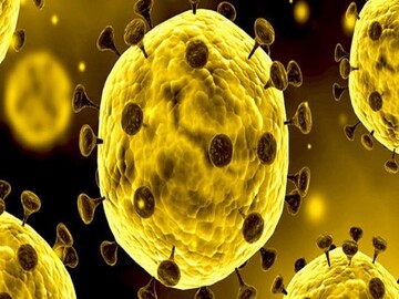  نماینده زن مجلس دهم به کرونا مبتلا شده است؟