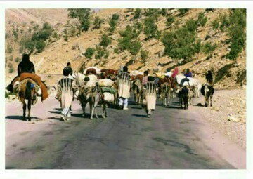 عشایر پیش از تقویم کوچ به چهارمحال و بختیاری نیایند