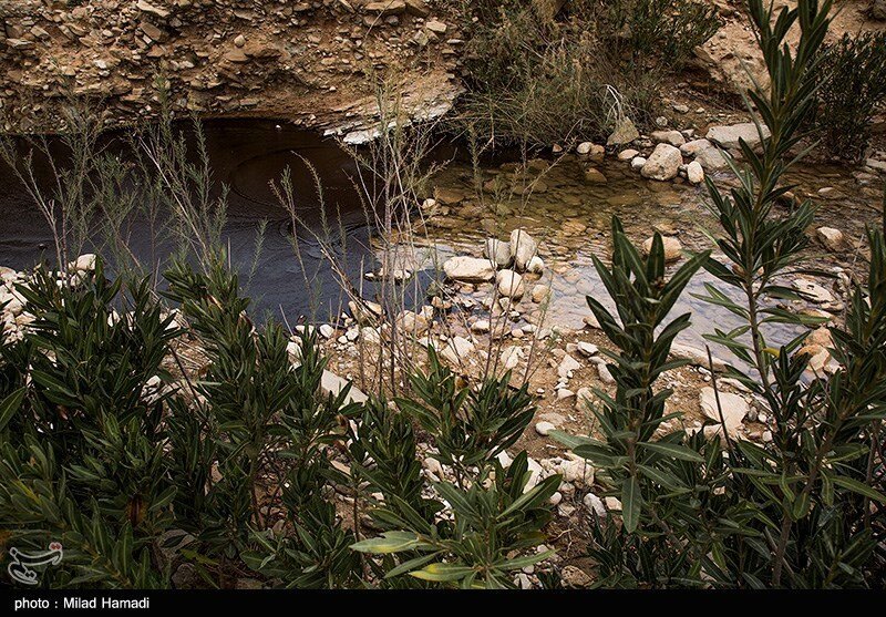 آلودگی نفتی در روستای پگین - خوزستان