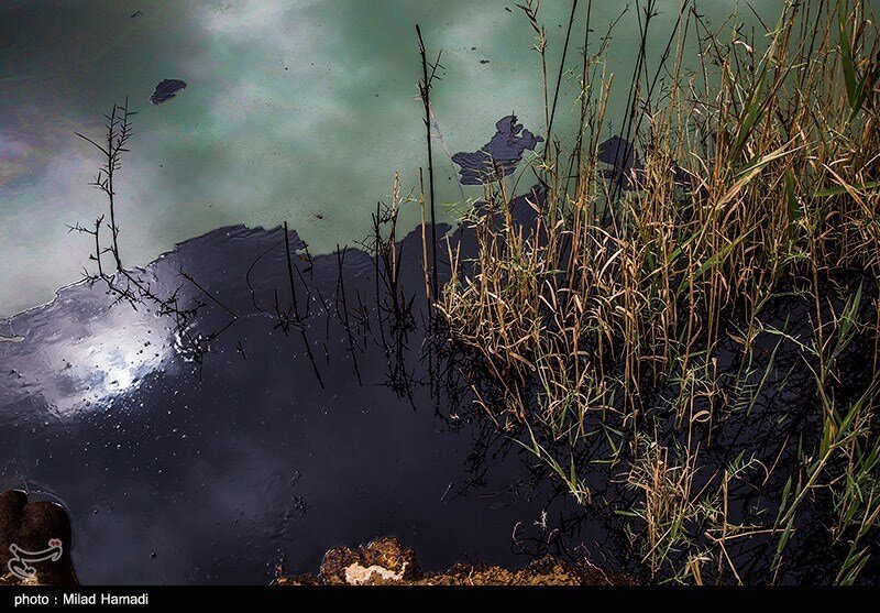 آلودگی نفتی در روستای پگین - خوزستان