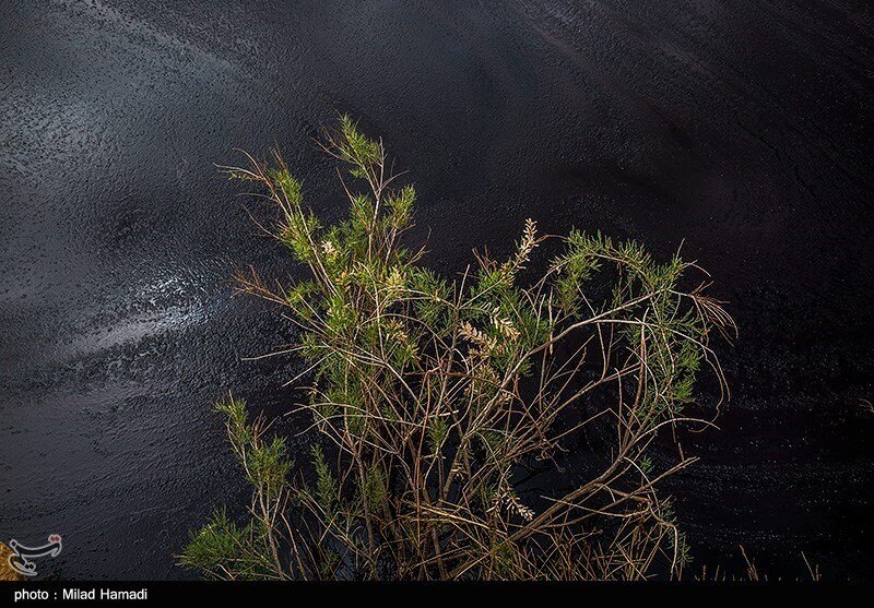 آلودگی نفتی در روستای پگین - خوزستان