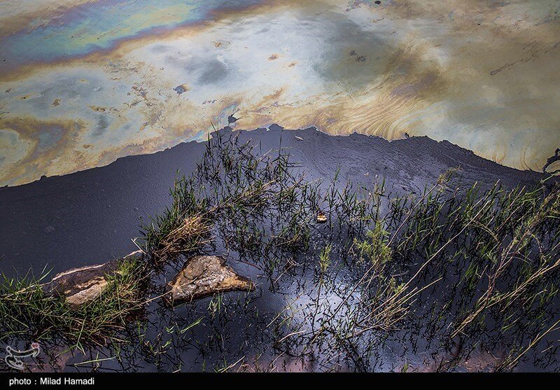 آلودگی نفتی در روستای پگین - خوزستان