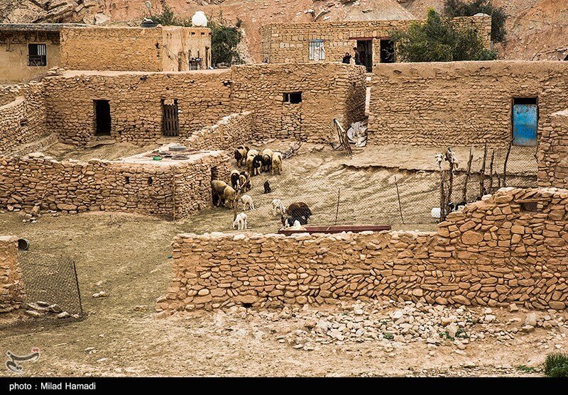 آلودگی نفتی در روستای پگین - خوزستان