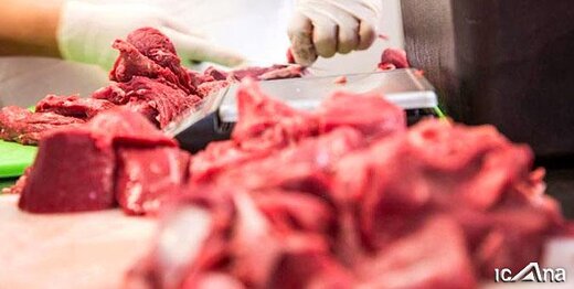 افزایش ۱۱ درصدی عرضه گوشت قرمز