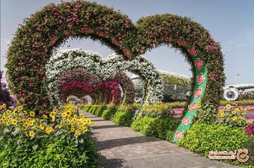 آیا عشق متجلی شده در طبیعت می تواند جهان آشفته امروز را نجات دهد؟ +تصاویر