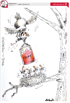 ببینید شستشو با صابون تا کجاها رفته!