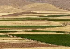 در سیزدهمین جلسه کمیسیون طرح های کشاورزی و تولیدی استان کردستان