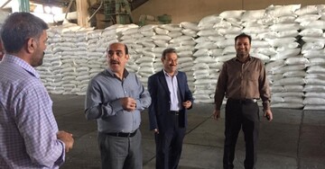 بازدید مدیر استان از انبارهای شرکت خدمات حمایتی استان البرز

