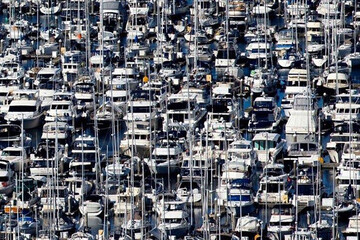 عکس | بندر کرونا زده سیاتل!