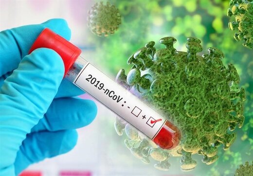 ضعیفشدن ویروس کرونا با گذر زمان اثبات نشده است/ احتمال بقای طولانیتر ویروس کرونا در یخچال و فریزر - خبرآنلاین