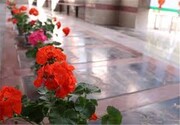 غبار روبی گلزار شهدای شیراز