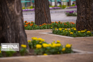 چهارباغ زیر سایه کرونا