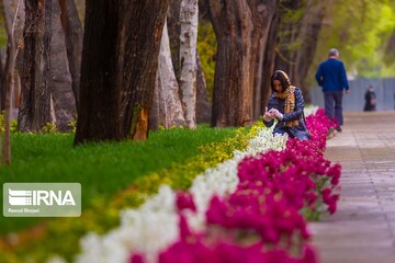 چهارباغ زیر سایه کرونا