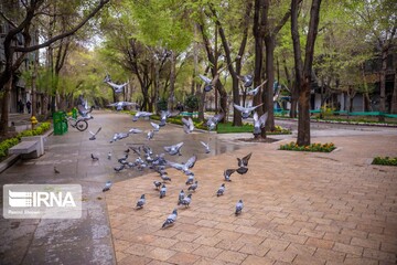چهارباغ زیر سایه کرونا