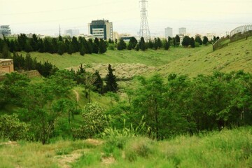 پارک طبیعت پردیسان «خودرو ممنوع» شد