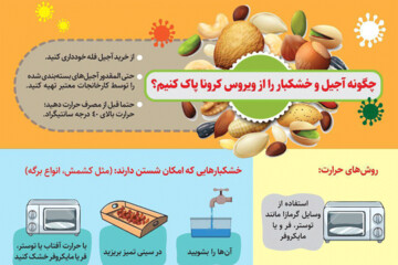اینفوگرافیک | چگونه آجیل و خشکبار را از ویروس ‎کرونا پاک کنیم؟