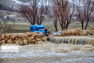 خسارت ناشی از سرمازدگی‌ اخیر در استان چهارمحال و بختیاری  ۸۰ میلیارد ریال برآورد شده است
