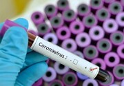 الانتاج الواسع لعدة التشخيص السريع لفيروس كورونا
