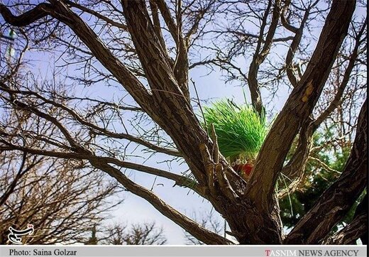 توضیحات پلیس راهور تهران درباره ممنوعیت احتمالی تردد در روز ۱۳ فروردین
