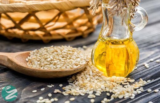 بهترین روغن برای مصرف روزمره را بشناسید