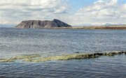 سال گذشته چه برنامه‌هایی برای احیای دریاچه ارومیه انجام شد؟