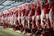 مصرف گوشت مردم60 درصد کم شد،دامپرورها نگران شدند