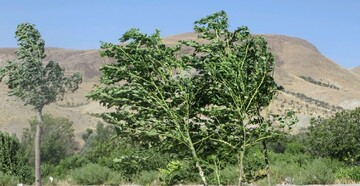 هشدار "یخبندان بهاره" به کشاورزان قزوینی 