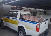 مدیرکل دامپزشکی استان کهگیلویه وبویراحمدقریب به ۹ هزار کیلوگرم مواد خام دامی غیر بهداشتی در نوروز ۹۹ معدوم شد