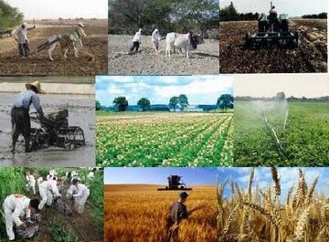 ایجاد 3800شغل جدید در بخش کشاورزی قزوین 