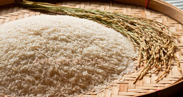 ۴ نکته که هنگام خرید برنج باید بدانید