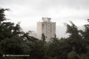 تهران غرق در مه