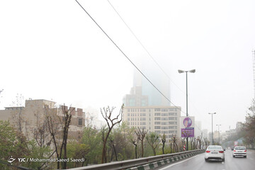 تهران غرق در مه