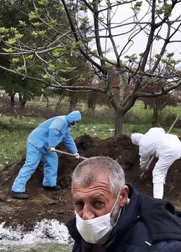مجید سعیدی