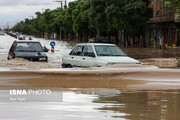 تصاویر | کرمان در آب باران غرق شد