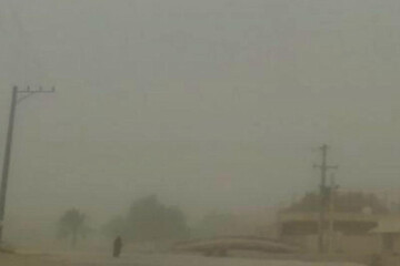 ببینید | قشم در طوفان شدید